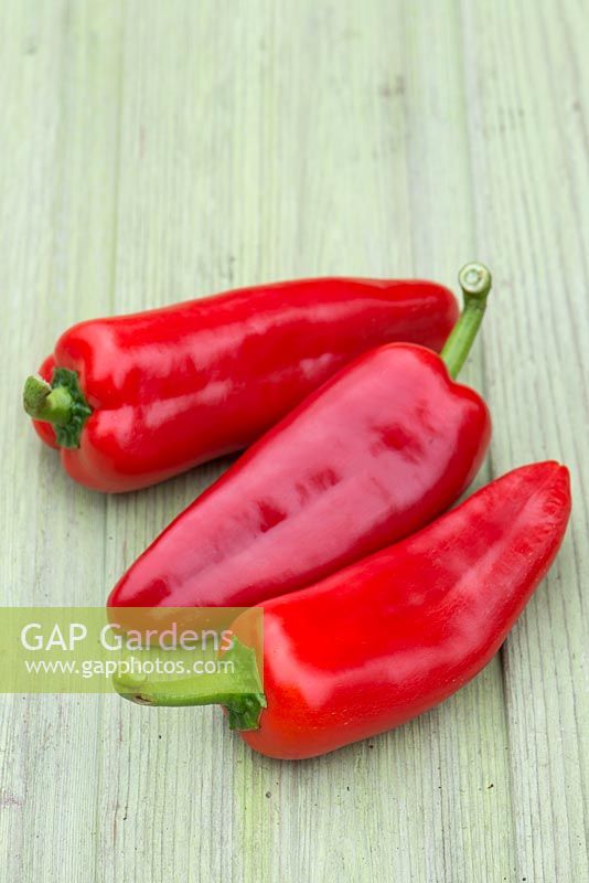 Capsicum - Pepper 'Tastybite Ruby'