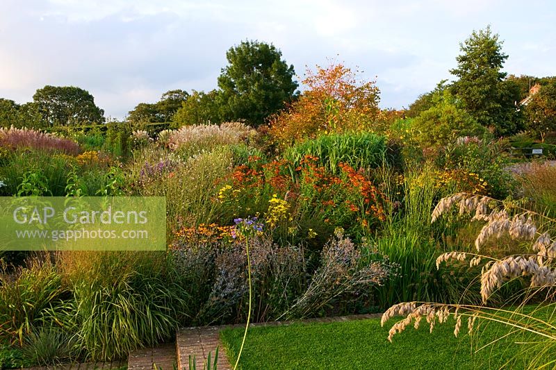 A view of a colourful herbaceous perennial border. 