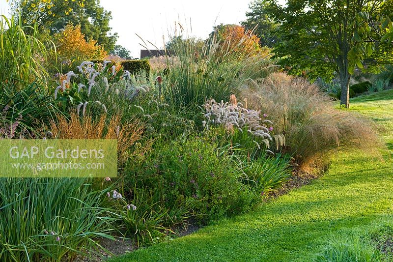 A view to colourful flowering perennial and grass border.