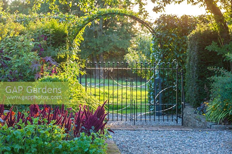 Metal gate in kitchen garden with beds of Amaranthus and gravel path - Morton Hall Gardens, Worcestershire