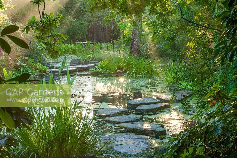 Stepping stones over pool in morning light, Worcestershire