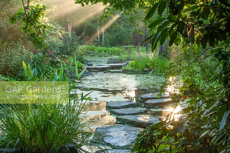 Pond in woodland with stepping stones - The Stroll Garden - Morton Hall Gardens, Worcestershire

