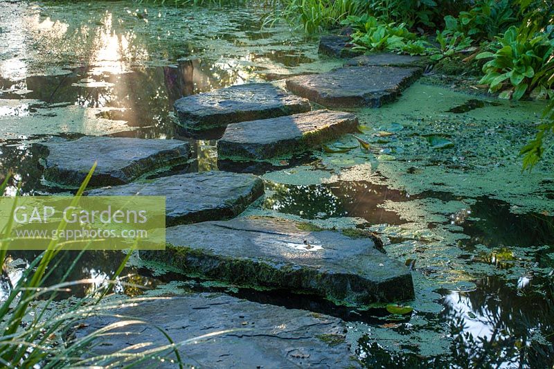 Pond in woodland with stepping stones - The Stroll Garden - Morton Hall Gardens, Worcestershire

