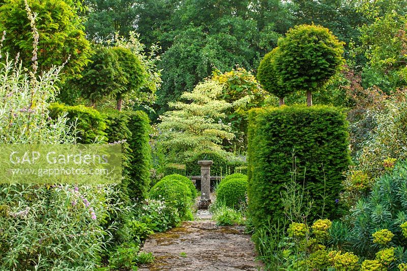 Path surrounded by evergreens and clipped topiary. 
