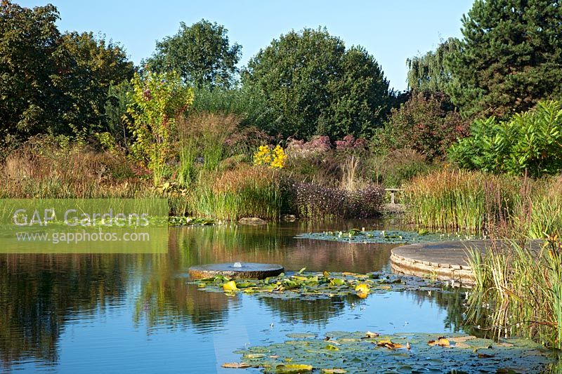 View of the natural swimming pool at Ellicar Gardens, Nottinghamshire. 