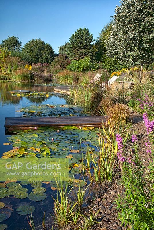 Natural swimming pool at Ellicar Gardens, Nottinghamshire 