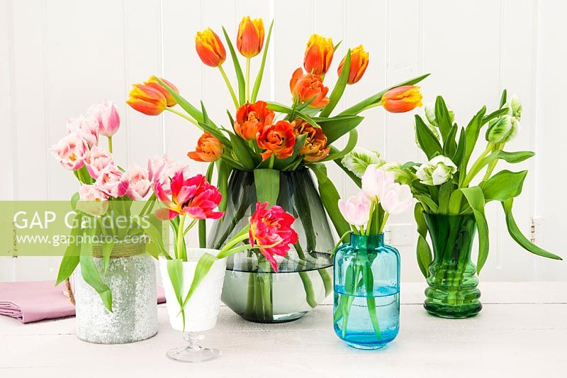 Mixed tulips arranged in glass vases