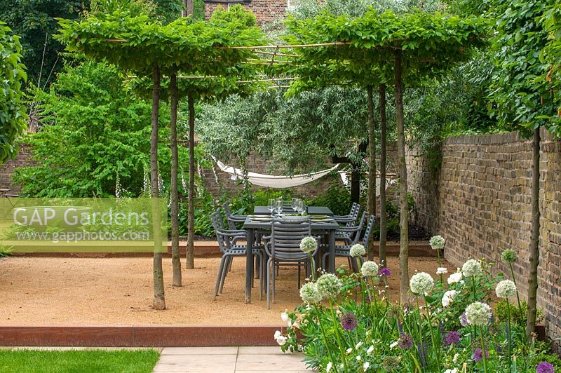 View to dining area in urban town house garden under pleached tree canopy. 
