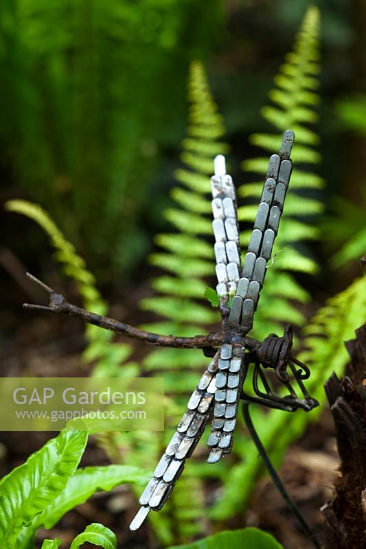 An ornamental dragonfly nestling on tree fern - Dicksonia antarctica. 