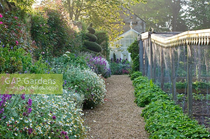 View down gravel path bordered by flowering summer beds and ornate fruit cages. 

