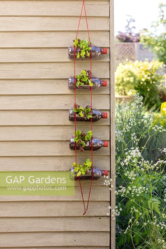 Vertical salad planter made from recycled plastic bottles in a rustic garden setting