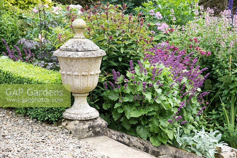 Stone urn by steps with Buxus clipped hedging and herbaceous border, Scotland 