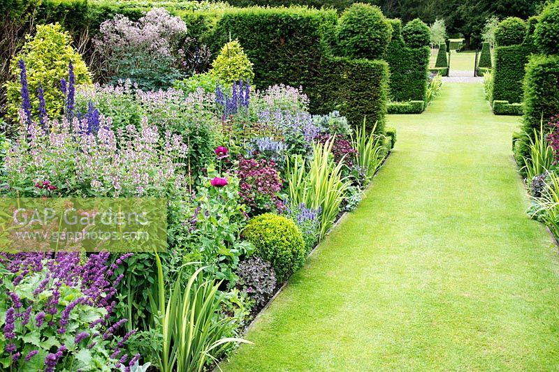 Herbaceous borders with grass path and clipped Taxus hedging, Scotland 
