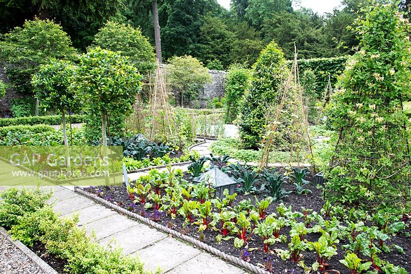 Vegetable garden, Scotland
