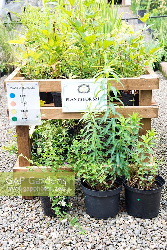 Plants for sale, Scotland