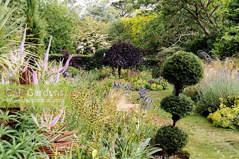 View of topiary and flowering beds and borders. 