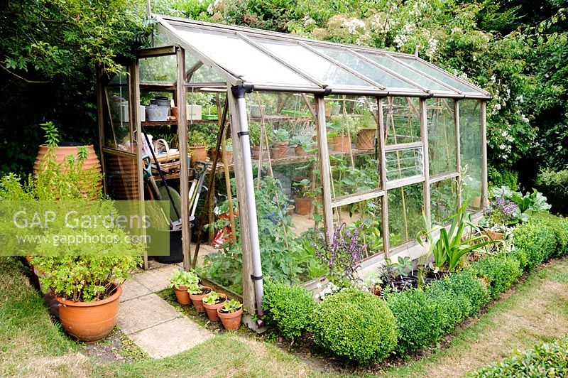 Greenhouse surrounded by clipped box and pots. 