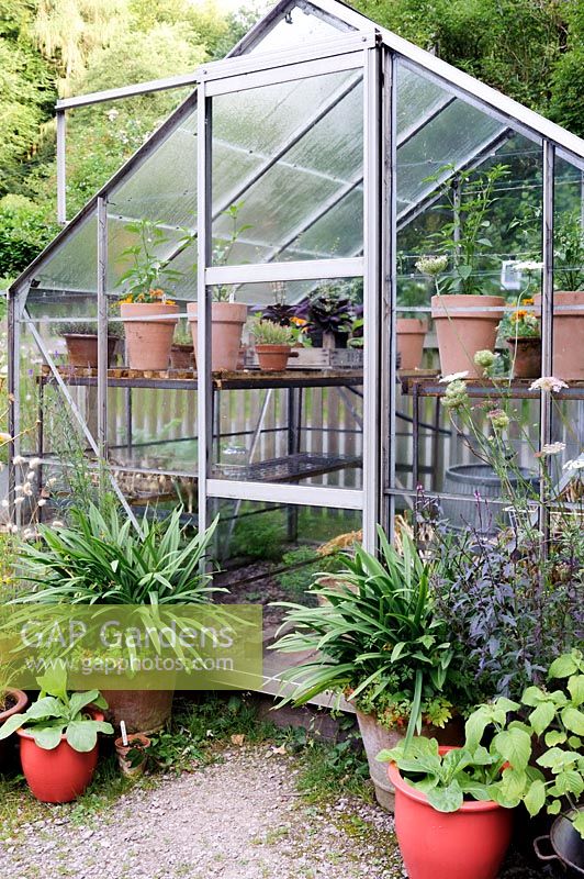 View of metal framed Greenhouse with symmetrically arranged pots around its door.