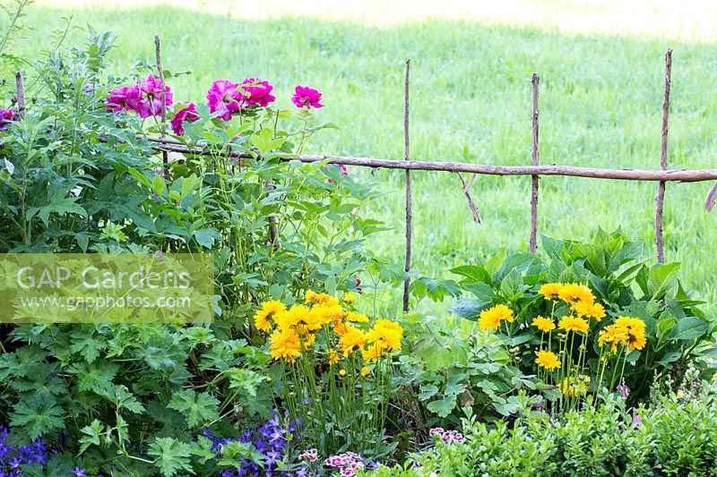 A hazel stake fence separates a rose and perennial bed from meadow. 