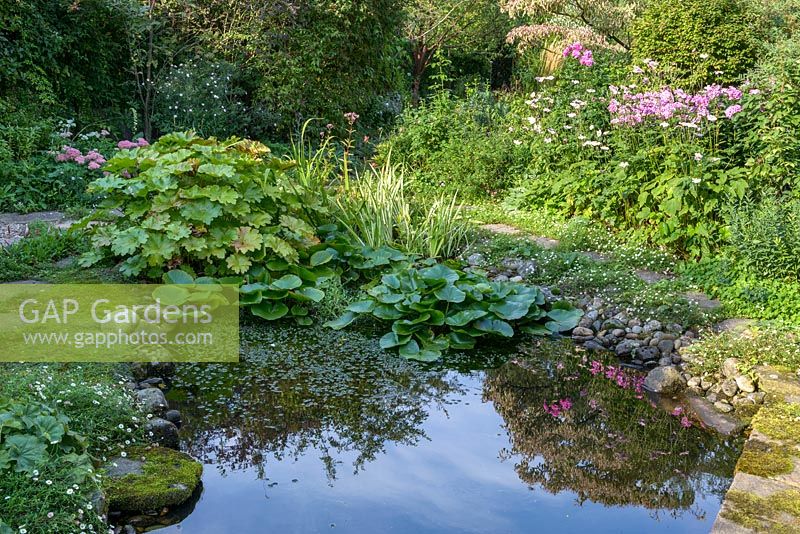 Pond with lilies and stone borders in NGS garden in St Albans, Hertfordshire, UK.