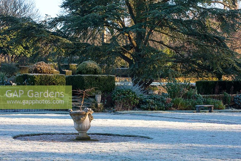 Frosted lawn with Pinus radiata - Monterey pine trees and Stone urn, West Sussex