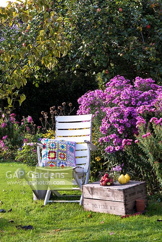 White chair with flowering Asters in border