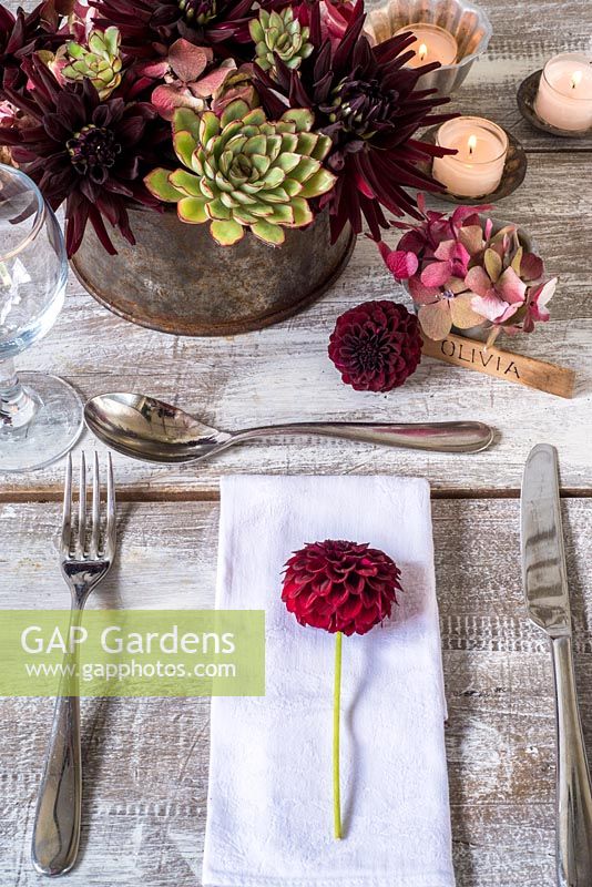 Place setting with dark red dahlias, hydrangeas and succulents