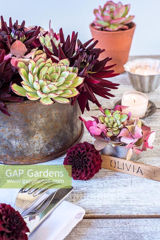 Table place setting with dark red dahlias, hydrangeas and succulents