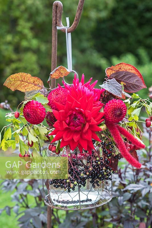 Hanging autumn floral arrangement with red dahlias, elderberries and leaves
