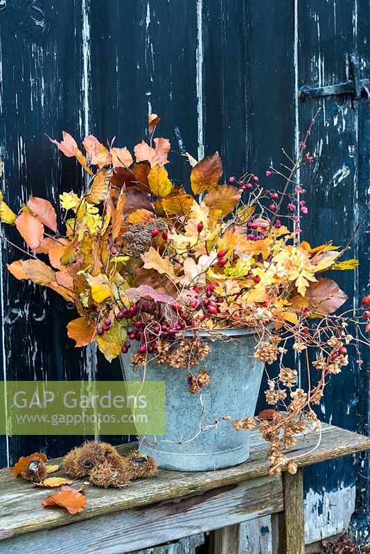 Foraged foliage and berries displayed in old metal bucket. 