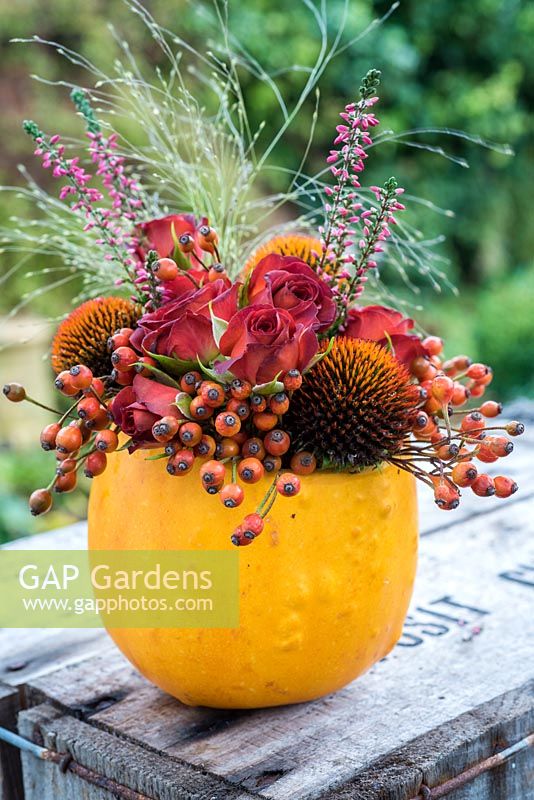 Small gourd 'vase' with autumn flowers.