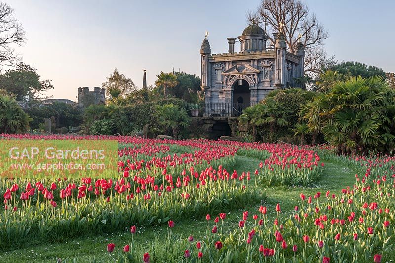 Spiral of flowering Tulips at Tulip Festival at Arundel Castle, Sussex, UK.