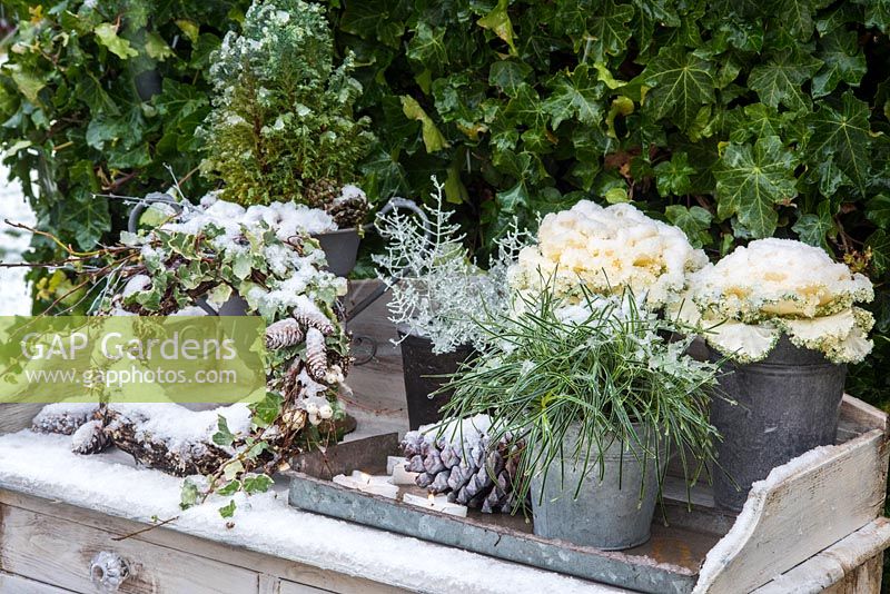 Winter garden decoration on table with wreath, cones, ornamental Brassica and evergreens. 