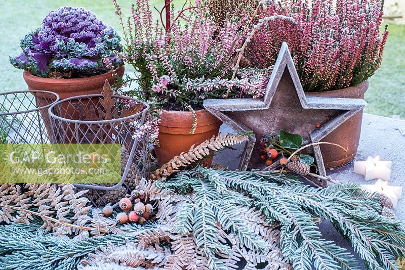 Frosty plants and accessories on garden table. 
