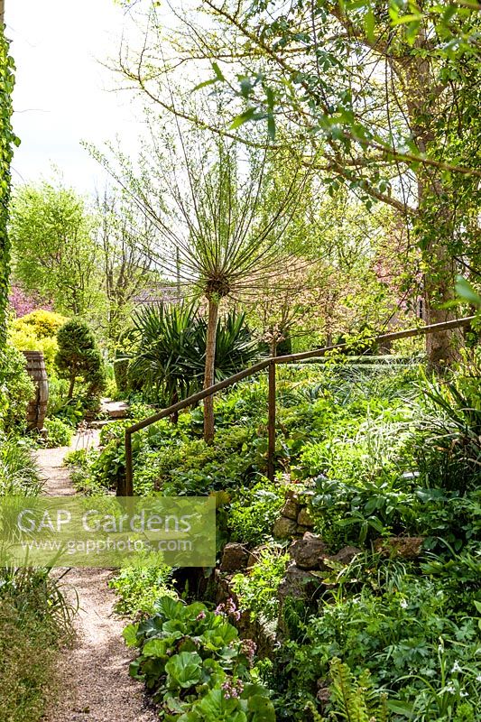 View along a narrow path in an informal cottage garden showing planting and hand rail 