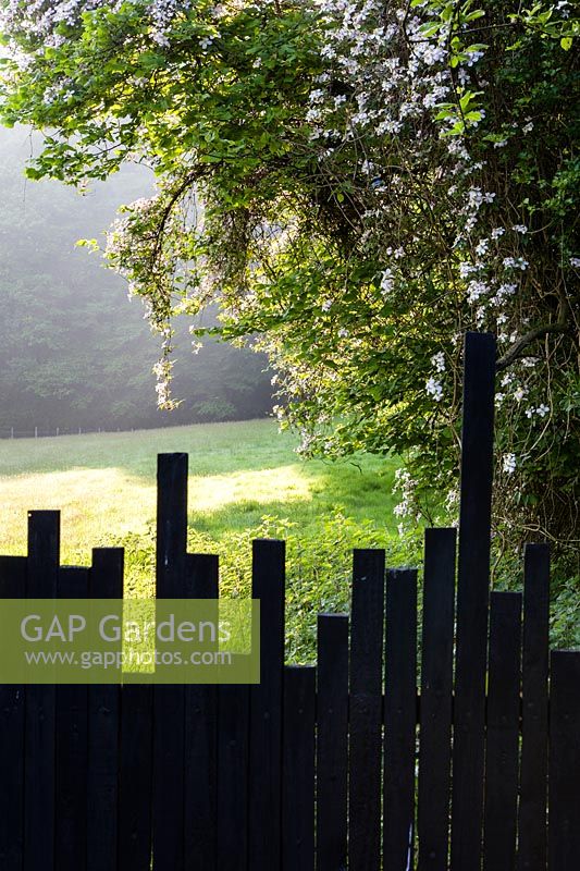 Black-painted wooden fence with irregular top and view beyond
