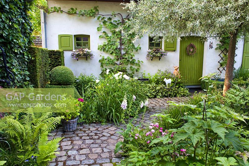 Courtyard with summer borders of perennials and topiary.
