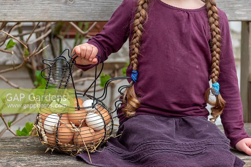 Girl carrying a basket full of chicken eggs in a garden. 