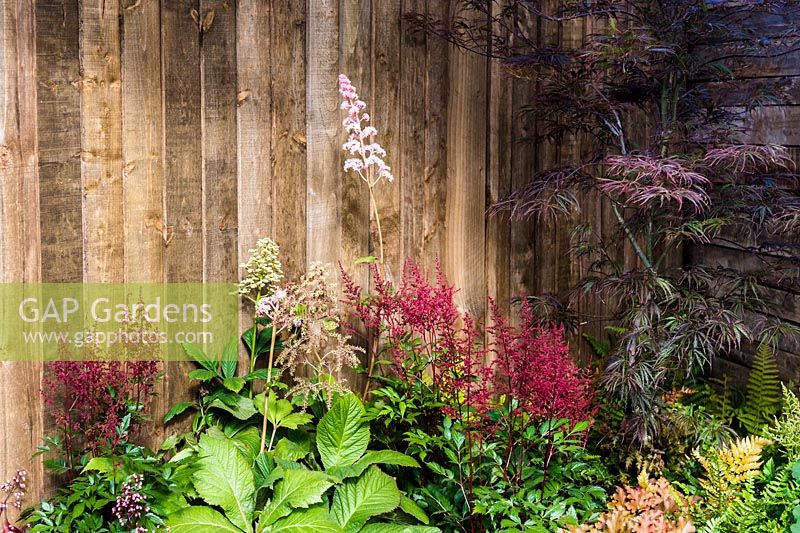Summer flowerbed with red, white and pink Astilbe. 