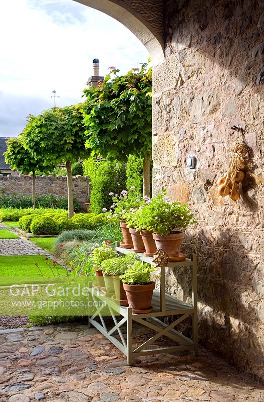 View to pots of Pelargoniums sheltered under gatehouse archway to upper courtyard.