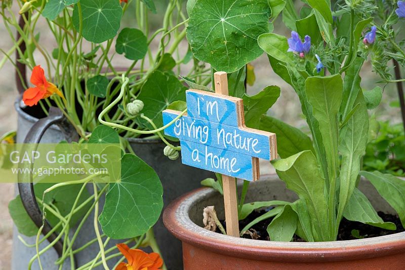 Close up of potted plants with 'I'm giving nature a home' pick. 