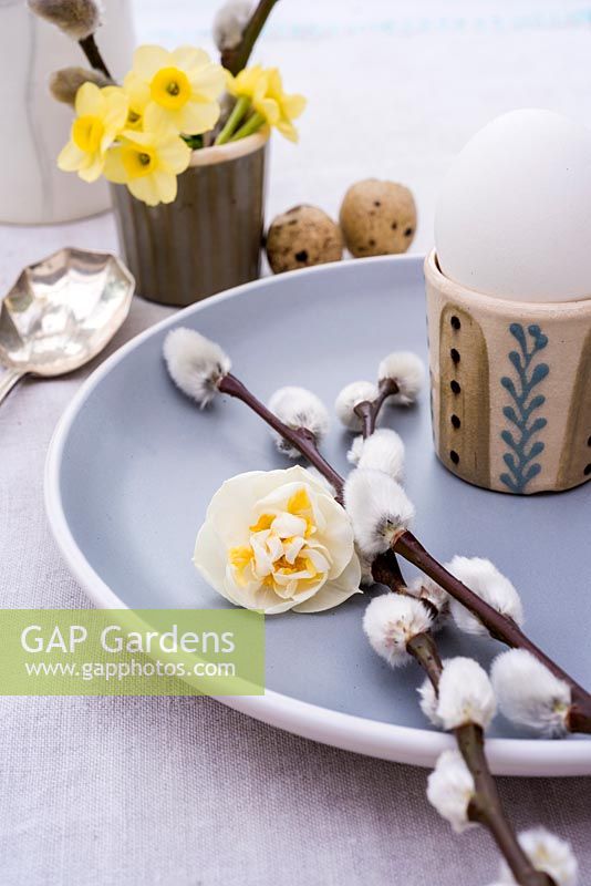 Easter place setting with Salix discolor and Narcissus