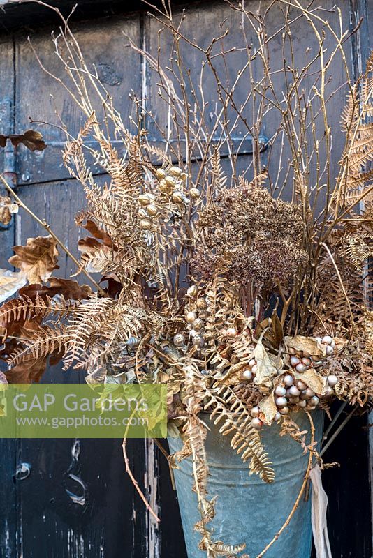 Selection of sprayed gold dried seedheads, ferns, berries and leaves displayed in florist's bucket hanging on black door