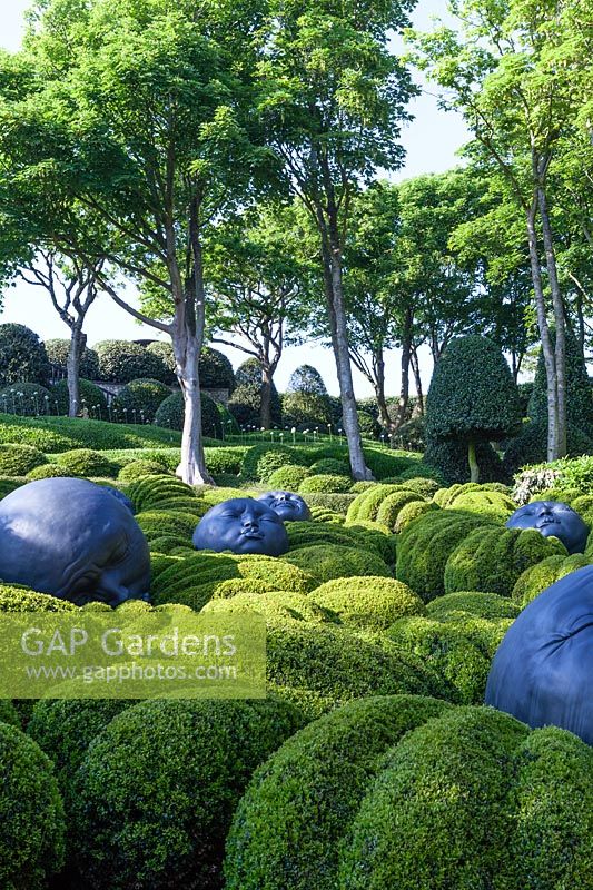 Sculptured heads 'Des Gouttes de pluie' by Samuel Salcedo with Buxus sempervirens. Les Jardins D'etretat, Normandy, France.