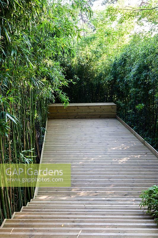 Jardin Zen. Decking and bamboo. Les Jardins D'etretat, Normandy, France. 