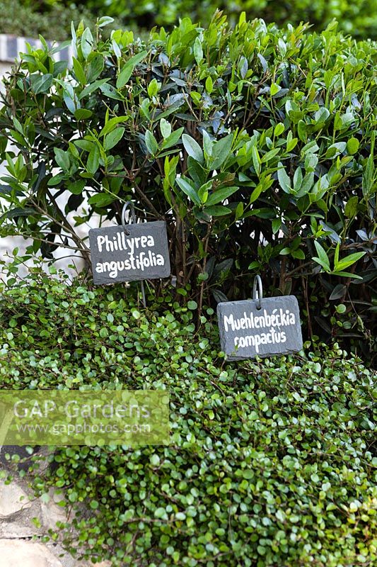 Plants with labels. Les Jardins D'etretat, Normandy, France.
