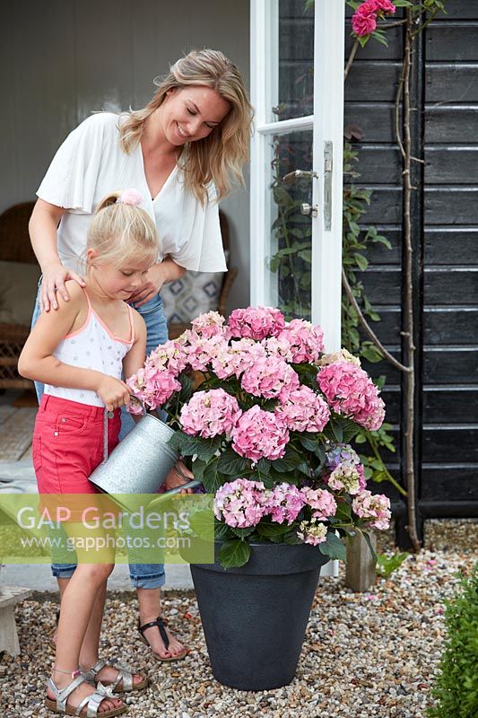 Woman and girl spending time together on patio whilst watering hydrangea in pot
