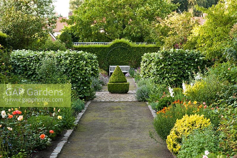 Double borders with perennials and formal hedging Laura Dingemans garden, Netherlands. 