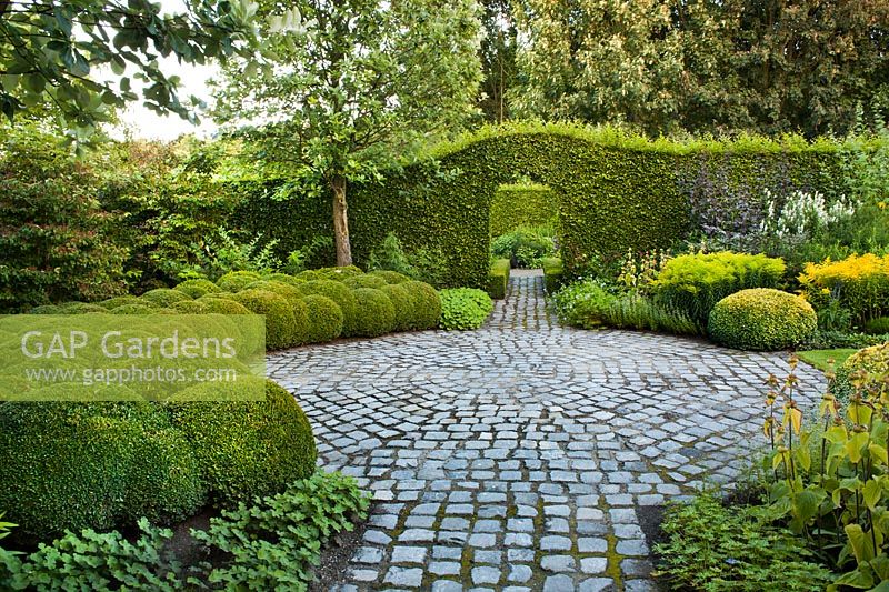 Paved area surround by topiary Buxus - box balls and with a path under archway cut into
Carpinus betulus 'fastigiata' - hornbeam hedge