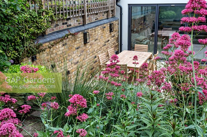 View over Centranthus ruber to lower patio area, table and chairs. 